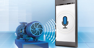 Aliquam vehicula porta vestibulum